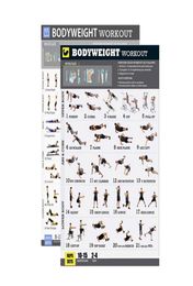 Bodyweight Exercise Poster Set Laminated 2 Chart Set Men and Women Body Weight Workouts for Home GYM Fitness1902359