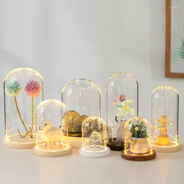 Bottles 10 20cm 25cm 12 12cm 15cm 18cm Glass Dome Vase Home Decoration Luminous Coil Antique Base Gift