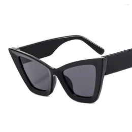 Sunglasses Women's Cat-Eye Colorful Pattern Men's Trend Eyewear Street Po Party Glasses