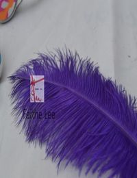 100pcslot 1214inch3035cm Purple Ostrich Feathers for wedding TABLE Decorations feather Centrepiece Wedding cent6863102