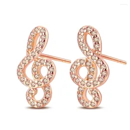 Hoop Earrings Unique 925 Sterling Silver Rose Gold & Earphone Notes K Music Enthusiast Jewelry Accessories