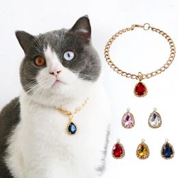 Dog Apparel Diamond Pendant Pet Necklace For Small Little Puppy Animal With Gold Chain Cat Luxury Collar Jewelry Grooming Accessories