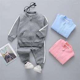 Clothing Sets Spring Autumn Children Cotton Suit Baby Boys Girls Clothes Kids Sport Pants 2pcs/sets Fashion Toddler Tracksuit