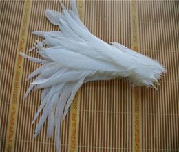 Whole 100pcslot 1214inch pure White Coque rooster hackle tail Feather for Crafts decor2000014