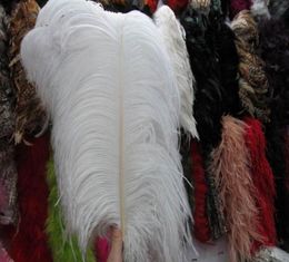 30 pcs pure White Ostrich Feather Plumes 2628inch for Wedding Decoration wedding centerpiece party event decor2228116