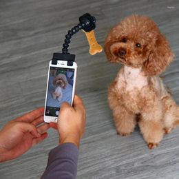 Dog Apparel Pet Selfie Stick For Dogs Cat Pography Tools Interaction Toys Concentrate Training Supplies Accessories Drop