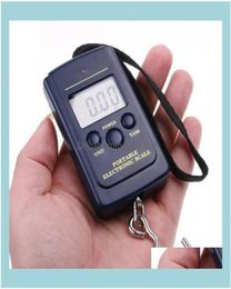 Aessories Sports Outdoorsdigital Handy Hanging Scales 40Kg 88Lb Portable Lage Suitcase Weighting Fishing Scale Tool Carp Fish Ho3467466