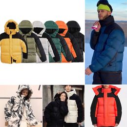 Mens Designer northe faced Jackets hooded Winter Parka Womens Overcoat Down Jacket Thick warm Coats Tops Outwear Multiple Colour