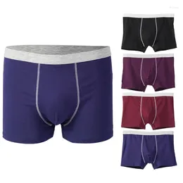 Underpants Men Panties Cotton BoxerShorts Man Underwear Mens Boxers Breathable U Convex Simple Basic Style Sexy Plus Size 4XL