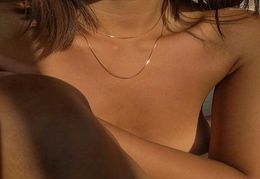 2021 Designer Minimalist Thin Chain Gold Plated Necklaces For Women Niche Sexy Chain Choker Necklaces Jewelry Accessories12291361