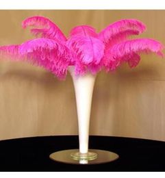 Prefect Natural pink Ostrich Feather 1012 inchWedding Decoration wedding Centrepiece party decor event supply3625962