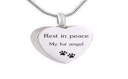 LHP243 Pet Paw Print Cremation Jewellery 316L Stainless Steel Keepsake Memorial Urn Necklace for Ashes w/Funnel Kit8235181