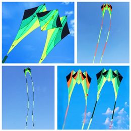 Kite Accessories design 3d nylon kite adult flying toys with reel line free wei 231212