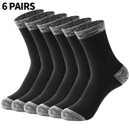 Sports Socks Men Cotton 6 Pairs Lot High Quality Casual Run Black White Male Long Plus Size EU 3848 231212