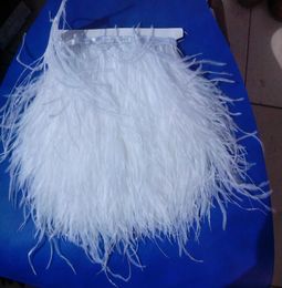 10yardslot white 67inch1518cmin width ostrich feather trimming fringe on Satin Header8353181