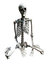 70CM Halloween Skeleton Prop Human Full Size Skull Hand Life Body Anatomy Model DecorHalloween Party Decor For Home Y09096767025