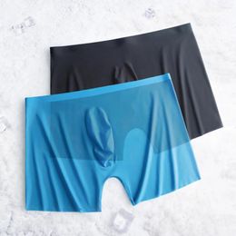 Underpants 2Pcs High Quality Men Boxershorts Ice Silk Smooth Ultrathin Underwear Breathable Comfort Seamless Boxers Panties Male