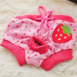 Dog Apparel Pet Lace Physiological Pants Hygiene Female Safety Teddy Period Clothes Leak-proof Menstrual Panties