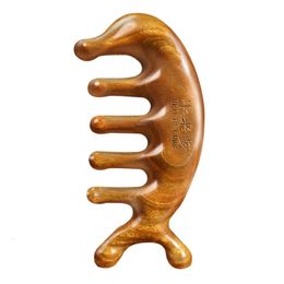 Hair Brushes Massage Comb Scalp Green Sandalwood Head for Growth Brush Nose Wooden Gift Women 231214