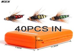 WOEN High simulation Flies Lure Fly hooks Bionic fly fishing hook Anchor 40 pcs box Baits Lures7997044