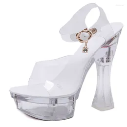 Sandals Shoes Women Jelly Sexy Transparent Platform Stilettos Size34-43 Slippers Summer High Heels Crystal