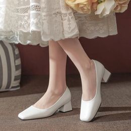 Dress Shoes 2024 Spring Female Square Head Shallow Comfort Thick Heels Ladies Fashion Black Work Women's 34-41 White Khaki