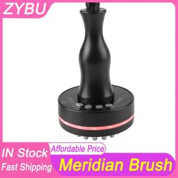 Microcurrent Meridian Brush Body Massager Health Care Physiotherapy Guasha Device Red Light Infrared Heating Vibration EMS Warm Massage Lymphatic Drainage