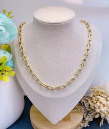 High end Design Jewellery Necklaces Fashion Women Design Necklace Gold Plated Long Chain Designer Style Exquisite Gift Campus Couple3958887