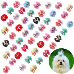 Dog Apparel 10PCS Lace Hair Bows Pet Bowknot With Volumes Ribbon Cute Grooming Flower Rubber Bands For Puppy Products