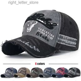 Ball Caps New Unisex Three-dimensional Embroidered Brushed Washed Distressed Two Tone Cotton Adjustable Baseball Cap YQ231214