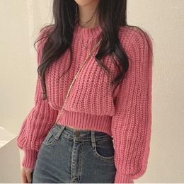 Women's Sweaters Early Autumn Top Sweet Spicy Female And Winter Clothing This Year Sweater Short Slim-fit