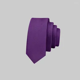 Bow Ties High Quality Purple Skinny For Men Fashion Casual 4CM Gravata Slim Necktie Silk Narrow School Student