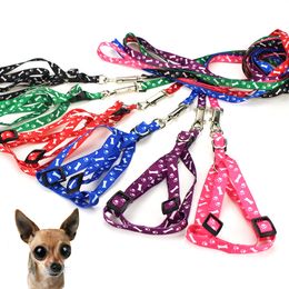 Dog Collars Leashes and Harness Set Adjustable Nylon for Small Dogs Cats Colourful Printed Chest Straps Traction Rope Pets Leash Belt FMT2108