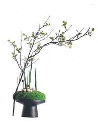 Decorative Flowers Moss Dried Flower Branch Simulation Greenery Bonsai Chinese Negotiation Room Tea Table Decoration