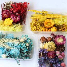 Decorative Flowers 2Box Natural Dried Resin Flower For Mold Real Daisy Small Leaves Scrapbooking DIY Candle Accessories Jewelry Crafts