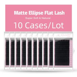 False Eyelashes 10 trays Qeelasee Flat Ellipse Split Tips Lashes 015 020 025Matte C D CC DD Black Color Super Soft Natural 231213