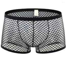 Underpants Men's Boxer Shorts Fishnet Transparent Man Sexy Nylon Boxers Underwear Male Gay Funny Mesh Clubwear Erotic Lingerie YL