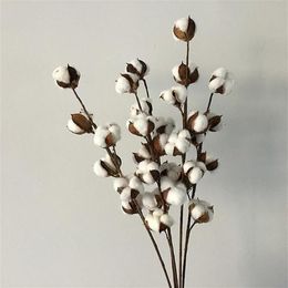 Decorative Flowers & Wreaths Flone Dried Flower Cotton Branch 6 Head Long Simulation Tree Home Wedding Decor Artificial262s