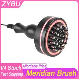 Home Use EMS Microcurrent Meridian Brush Body Massage Lymphatic Drainage Guasha Red Light Infrared Heating Vibration Apparatus Physiotherapy Warm Brush