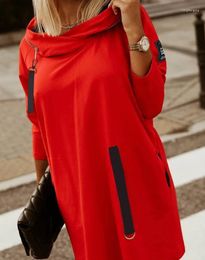 Casual Dresses Women's Hooded Long Sleeves Sweatshirt Mini Dress 2023 Selling Trend Letter Design Zippera Decoration Skirt