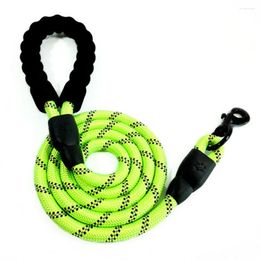 Dog Collars Walk With Confidence Reflective Strip Leash Adjustable Buckles Large Durable