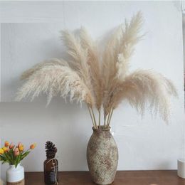 80cm Nagaho Natural Reed Dried Flower Big Pampas Grass Bouquet Wedding Flower Ceremony Decoration Modern Home Decoration270W