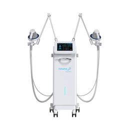 Salon Use Human Sport Injury Portable Double Handles-No light Terapia Laser Electromagnetic Transduction Therapy Magnetica ultrasound machine physiotherapy