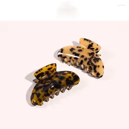 Fashion Girl Retro Acrylic Hair Beam Hairpin Women Accessories Beauty Crab Clamp Headwear Cute Bear Clip