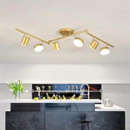 Ceiling Lights Modern Golden Lamp Restaurant Table Creative Personality Living Room Flush Mount Light Led Fixture249W