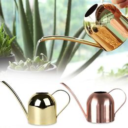 Sprayers 5001000ML Watering Pot Stainless Steel Long Mouth Green Plant Can Golden Kettle Small Gardening Tool 231215