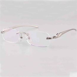 Rimless Panther Eyeglasses Clear Transparent Optical Frames For Men And Women Fill Prescription Pochromic Glasses French275S