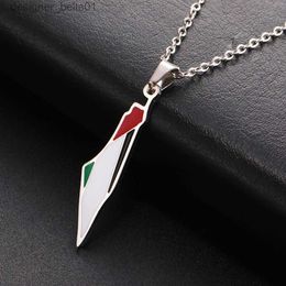 Pendant Necklaces My She Palestine M Flag Pendant Necklace for Women Men Stainless Steel M Geogrhy Necklace Choker Chain Jewelry WholesaleL231215