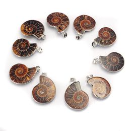 Natural Stone Chrysanthemum Fossil Pendant Silver Plated Bail Men and Women Fashion Jewelry Popular Minimalist Style252V