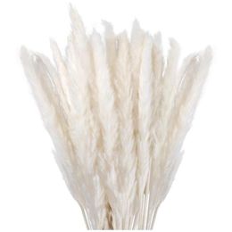 Decorative Flowers & Wreaths Dried Pampas Grass Decor Small Fluffy 30 Pcs 45CM Natural White For Vase Flower Bouquet Arrangement217w